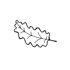 Hand drawn maple leaf outline. Maple leaf in line art style isolated on white background.