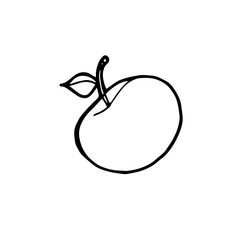 Flat line apple icon for web sites and apps. Minimal simple black and white apple icon. Isolated vector black apple icon on white background.