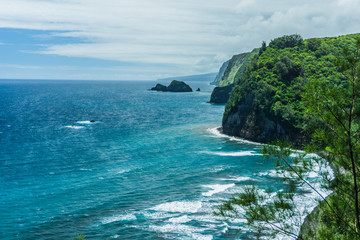 Fototapeta premium Hawaiian Ocean