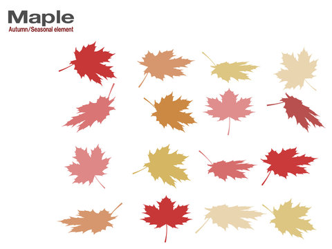 set of silhouette maple leaf on transparent background.