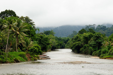 Indonesia - Tropical landscape on the river, Borneo