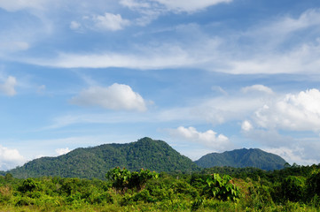 Fototapeta na wymiar Indonesia - Tropical landscape on the river, Borneo