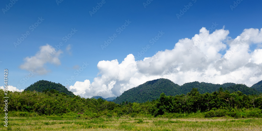 Canvas Prints Indonesia - Tropical jungle on the river, Borneo