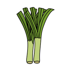fresh branch onion vegetable nature icon
