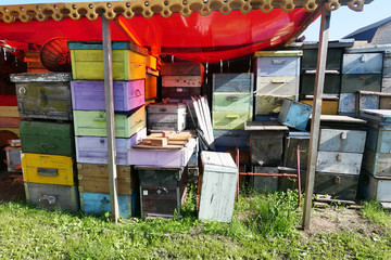 Wooden hives