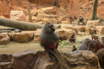 Scenes of Southeast Asia