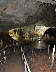 Bear cave from Chiscau village Bihor county