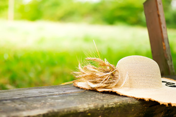 Cropped shot of a hat in wheat meadow on wooden background. Abstract countryside background.