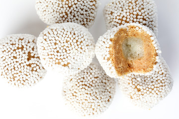 Rosokodom traditional Bengali sugar milk sweet desert on white background