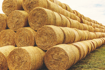 Stack of straw bales