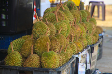 Scenes of Southeast Asia