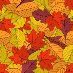 Naklejka na ściany i meble Autumn seamless pattern with fall leaves. Vector illustration