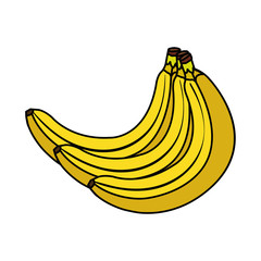 fresh bananas fruits nature icons