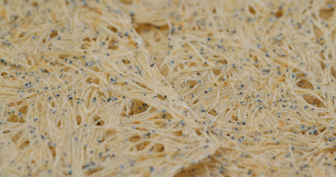Japanese dry fish snack for beer, tatami iwashi