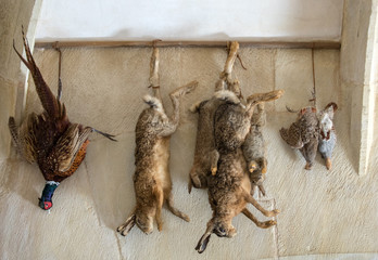 Hunting trophies hanging on the kitchen wall in Castelnaud Castle, medieval fortress at...