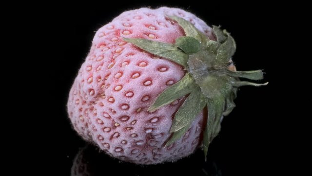 One fresh frozen strawberry on black glass with reflection. Black background, Rotation 360 degrees, Close-up