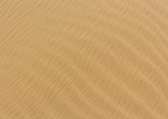 desert background or sand texture