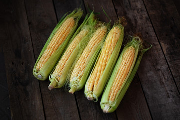 Cob sweet corn on wooden table