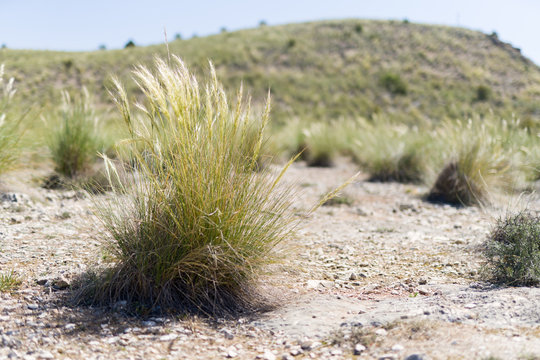 Beautiful alpine landscape, green mountain enviroment and blue sky in a sunny day