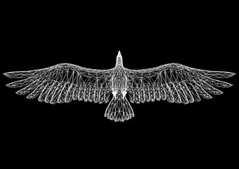 eagle