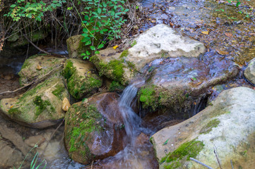 Lungo il sentiero 168 Gola di Jana nelle Marche