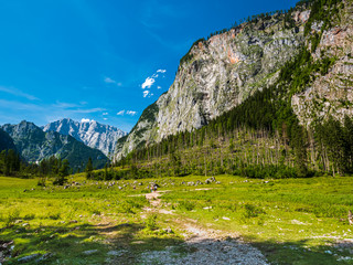 Behind and between the Königsee and Obersee is a beautiful Bavarian Landscape which you should not miss either
