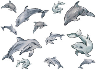 Hand drawn illustration pattern of watercolor swimming dolphins isolated on white background