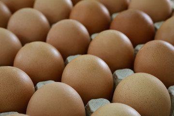 fresh eggs in a paper large tray