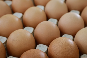 fresh eggs in a paper large tray