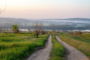 morning reeds mist fog and surface on the river