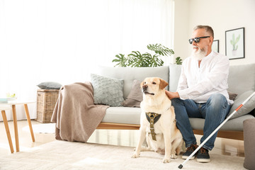 Blind mature man with guide dog at home