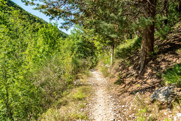 Lungo il sentiero 168 Gola di Jana nelle Marche