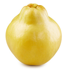 Quince isolated on white