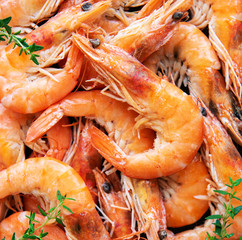 Shrimps as a food background