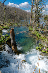 Plitvice Lakes national park and most amazing waterfall scenery in Spring.