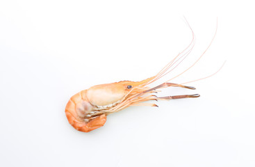 cooked shrimp on white background 