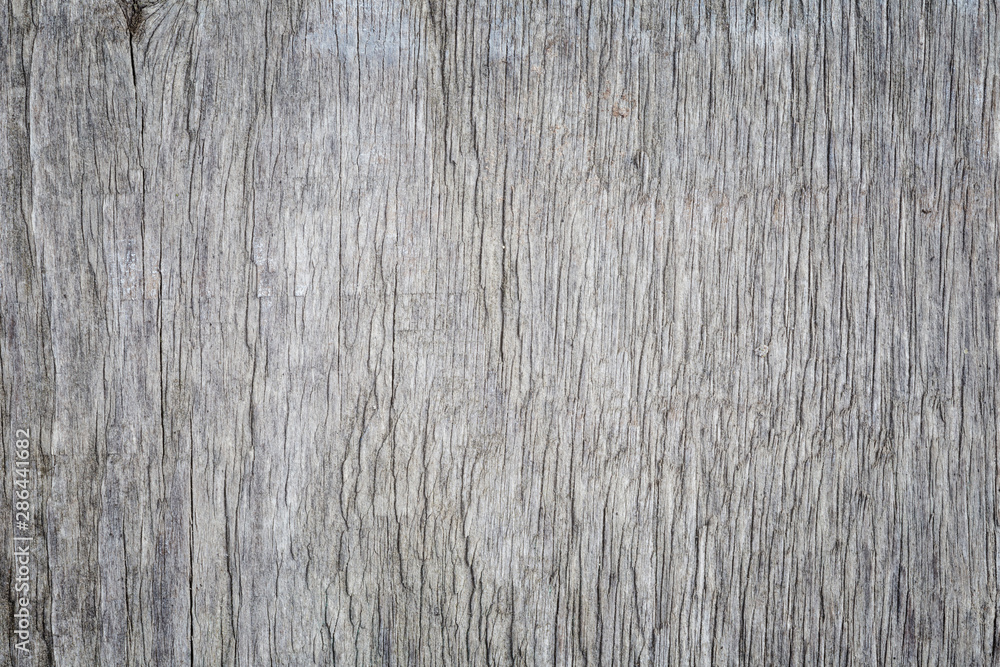 Aufkleber macro close-up of an aged, weathered and gray wood board. high resolution full frame textured backgr