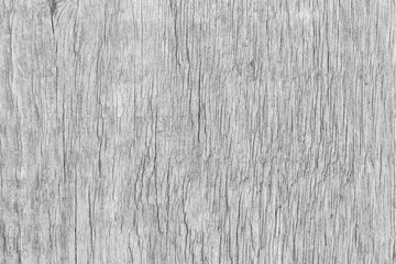 Macro close-up of an aged and weathered wood board in black and white. High resolution full frame textured background.