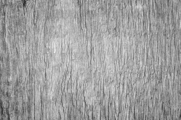 Macro close-up of an aged and weathered wood board in black and white. High resolution full frame...