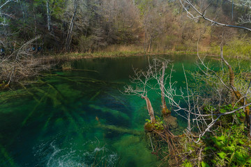 Plitvice Lakes national park and most amazing waterfall scenery in Spring.