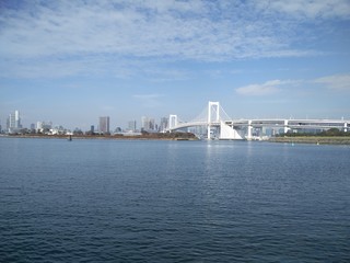 Fototapeta na wymiar bridge and skyline tokyo