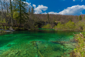 Plitvice Lakes national park and most amazing waterfall scenery in Spring.