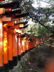 Fushimi Inari 6