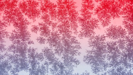 lace pattern of snowflakes on the window