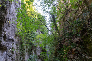 Lungo il sentiero 168 Gola di Jana nelle Marche