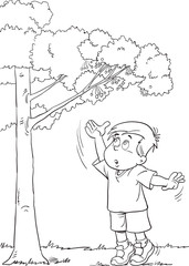 The boy picks cherries