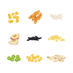 Set groats. Grain on white background. Vector illustration.