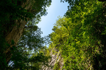 Gola di Jana nel sentiero 168 a Braccano nelle Marche