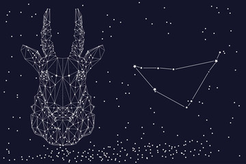 Zodiac sign Capricorn. The symbol of the astrological horoscope. Horizontal banner.