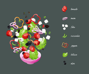 Greek salad Ingredients Constructor. Feta, Cheese, Basil, Olives, Lettuce Salad, Tomato, Onion, pepper, Cucumber. Vector iilustration.